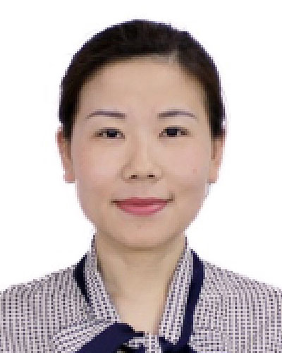 Professor Fang Chen