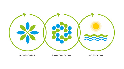 A review of the Status of Global Bioeconomy!